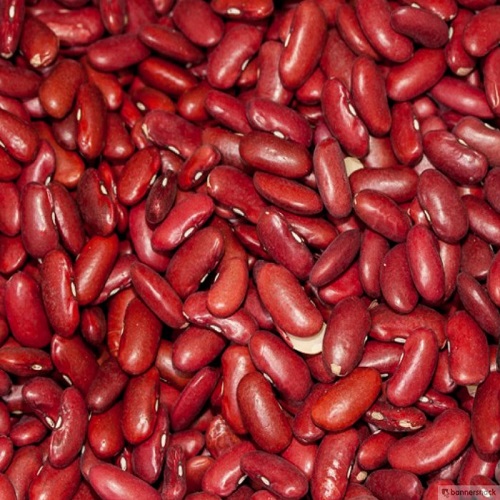 KIDNEY BEANS